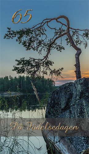 2-osainen onnittelukortti 65v ruotsinkielinen