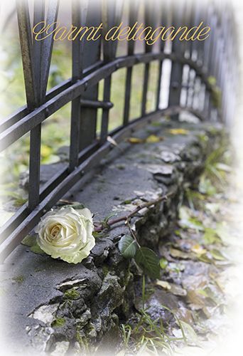 2-osainen osanotto ruotsinkielinen