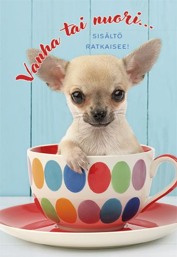 2-osainen onnittelukortti