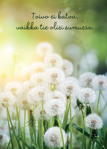 Postikortti Mieli ry