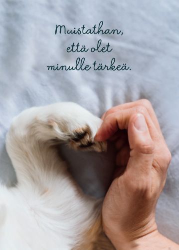 Postikortti Mieli ry