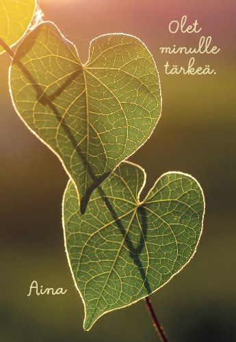 2-osainen kortti Mieli ry