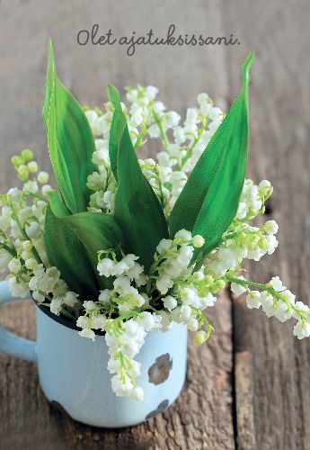 2-osainen kortti Mieli ry