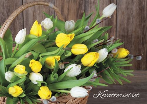 Postikortti kevät Jorma Jämsen