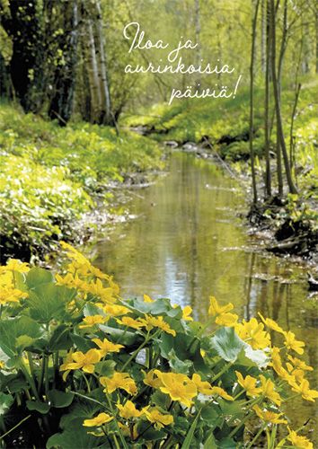 Postikortti kevät