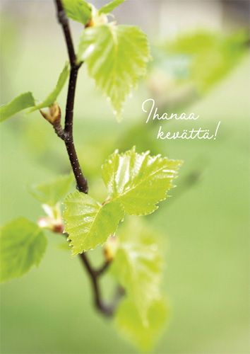 Postikortti kevät