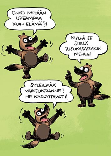 Postikortti Kamala luonto