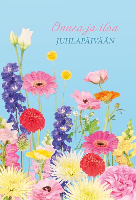 2-osainen onnittelukortti Hallmark