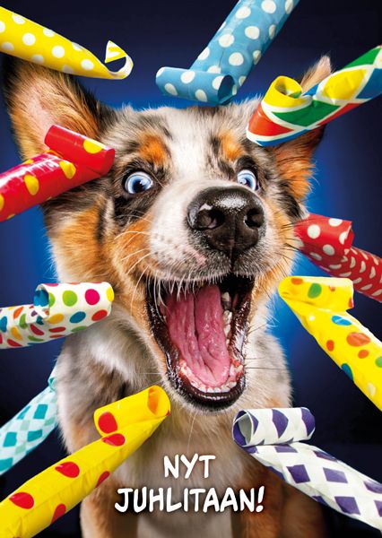 Postikortti hupi Avanti