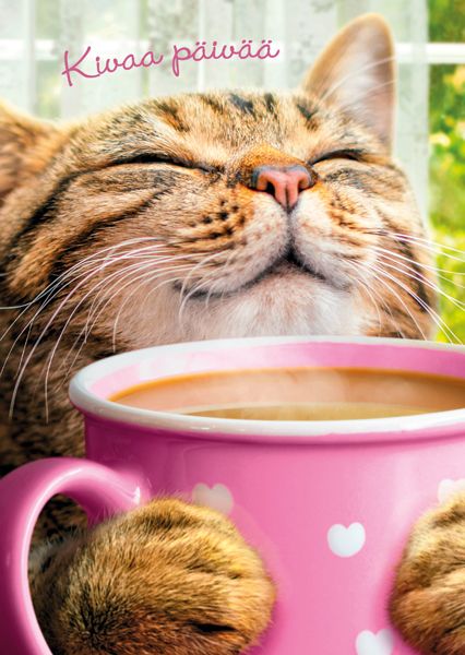 Postikortti hupi Avanti