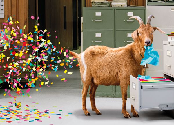 Postikortti hupi Avanti