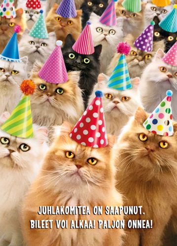 Postikortti hupi Avanti