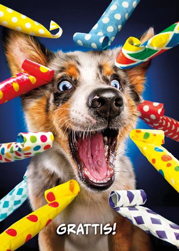 Postikortti hupi ruotsinkielinen Avanti