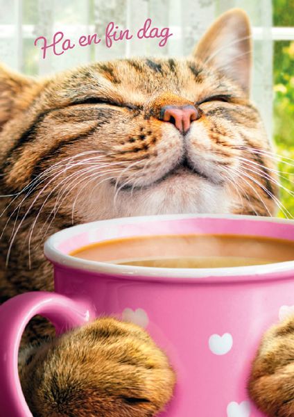 Postikortti hupi ruotsinkielinen Avanti