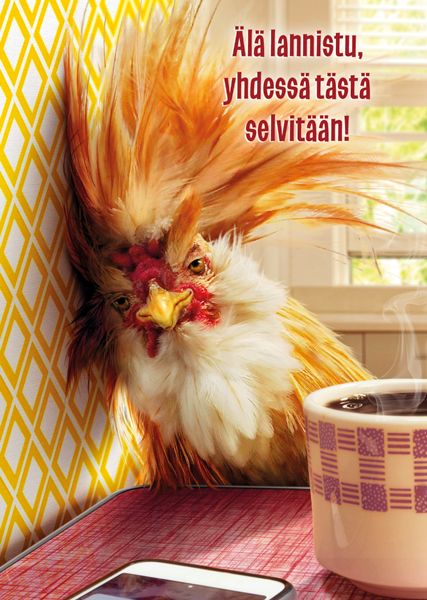 Postikortti hupi Avanti