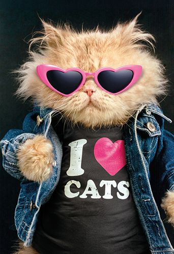 2-osainen hupikortti Avanti