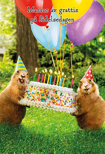 2-osainen hupikortti Avanti ruotsinkielinen