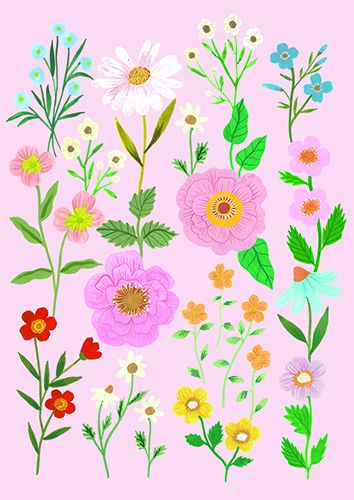 Postikortti Iisa Nuorttila