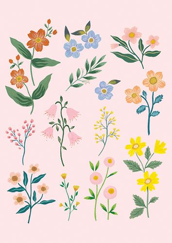 Postikortti Iisa Nuorttila