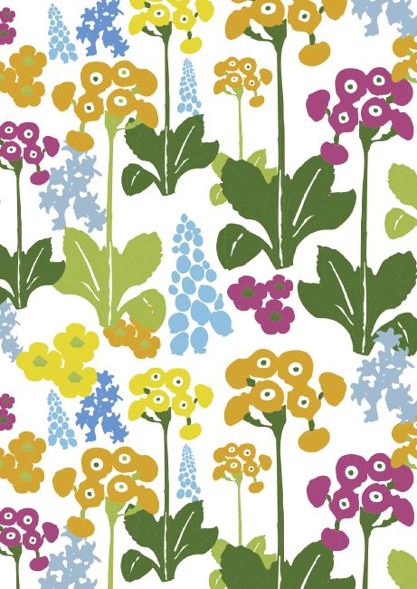 1-os kortti Merja Palin