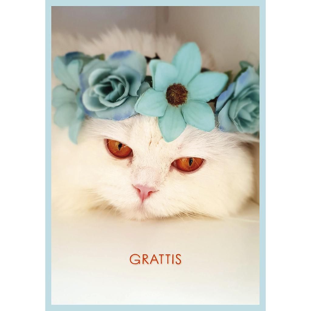 Postikortti kissa ruotsinkielinen