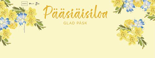 Opaste 120-90 cm kaksipuoleinen