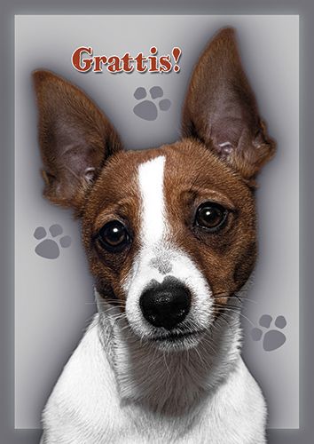 Postikortti koira ruotsinkielinen