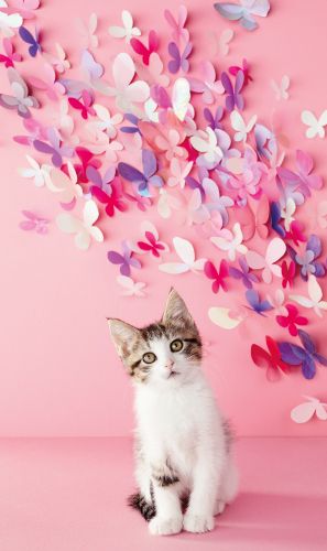 2-osainen onnittelukortti Hallmark