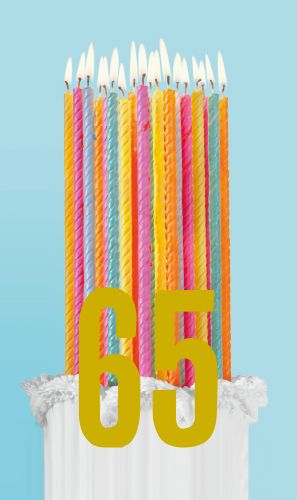 2-os vuosikortti 65v