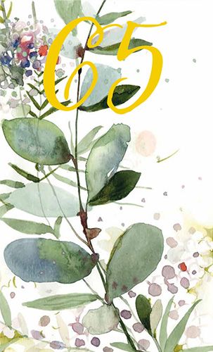 2-osainen vuosikortti 65v Minna Immonen