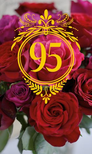 2-os vuosikortti 95v