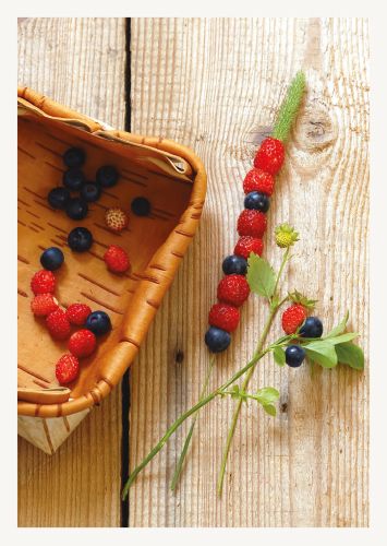 1-osainen matkailukortti