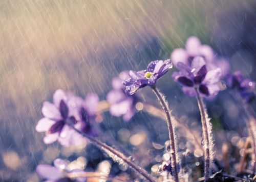 1-osainen matkailukortti