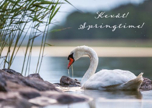 1-osainen matkailukortti