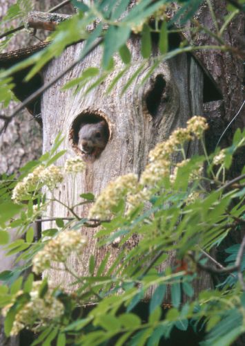 1-osainen matkailukortti