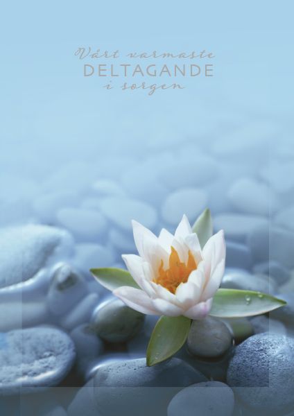 Suruadressi Suomen Sydänliitto ruotsinkielinen