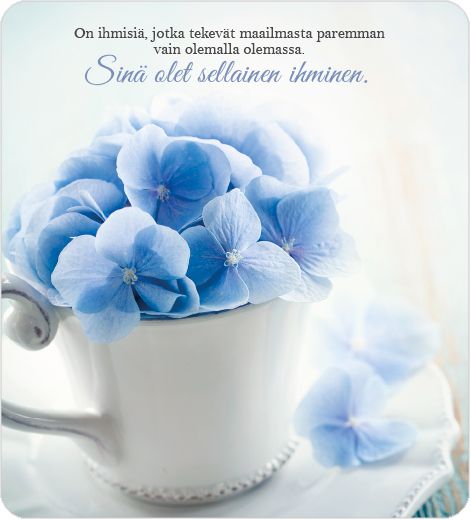 2-osainen neliökortti Anna-Mari West