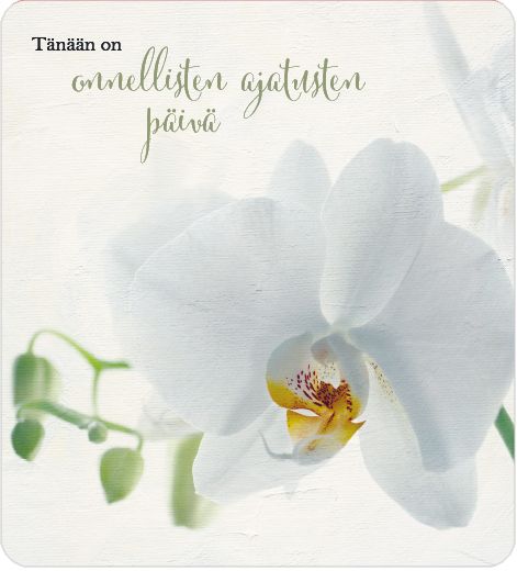 2-osainen neliökortti Anna-Mari West