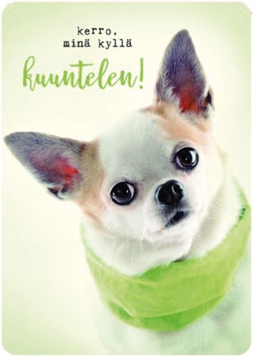 Postikortti Anna-Mari West lemmikit
