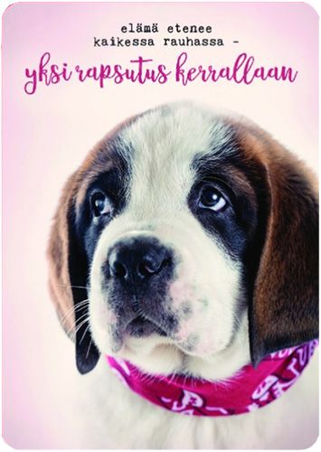 Postikortti Anna-Mari West lemmikit