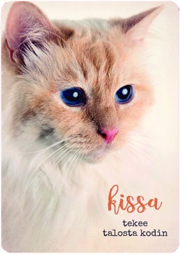 Postikortti Anna-Mari West lemmikit