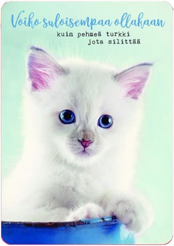 Postikortti Anna-Mari West lemmikit