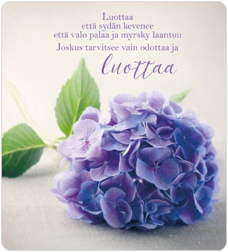 2-osainen kortti Anna-Mari West