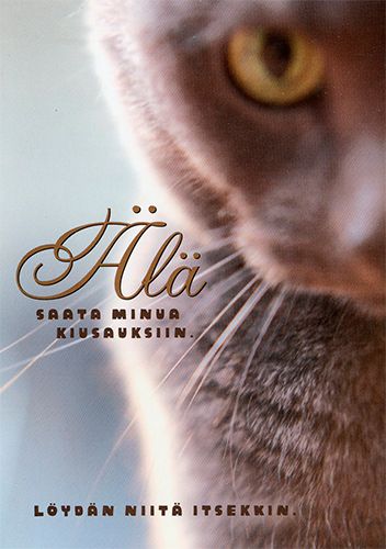 Postikortti ajatelma kissat