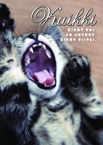 Postikortti ajatelma kissat