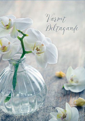 Suruadressi R Syöpäsäätiö Roosanauha