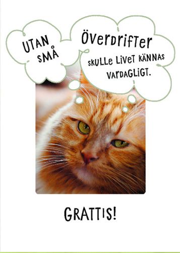 Postikortti eläinonnittelu ruotsinkielinen