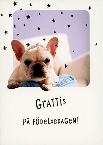 Postikortti eläin ruotsinkielinen Hallmark