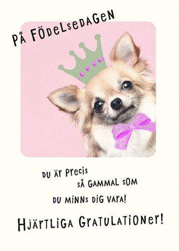 Postikortti eläin ruotsinkielinen Hallmark