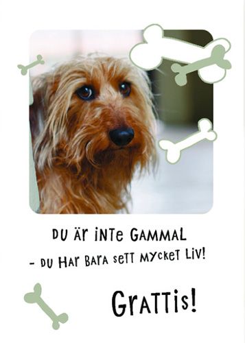 Postikortti eläin ruotsinkielinen Hallmark